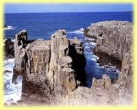 東尋坊・永平寺観光 東尋坊
