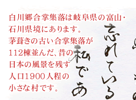 コラム「白川郷・明善寺」