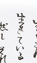 白川郷合掌集落は岐阜県の富山・石川県境にあります。