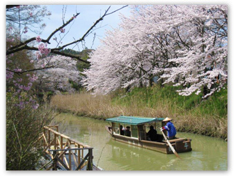 大聖寺川流し舟