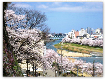 犀川河畔