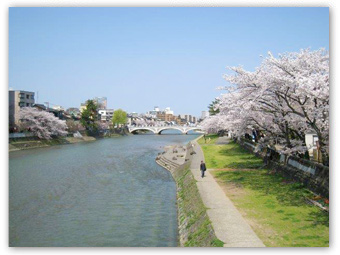 浅野川河畔