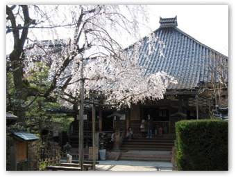 忍者寺(妙立寺)