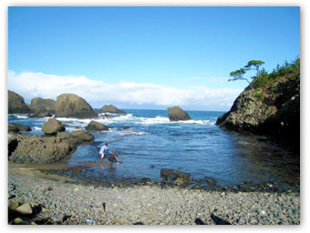 越前松島
