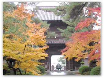 天徳院(珠姫の寺)