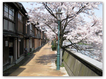 主計町茶屋街
