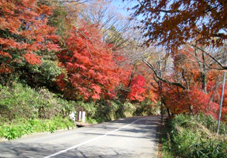 卯辰山公園