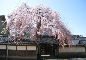 慶恩寺