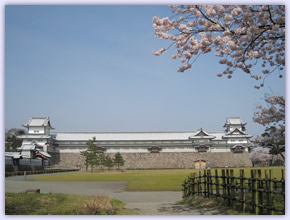 金沢城公園 桜