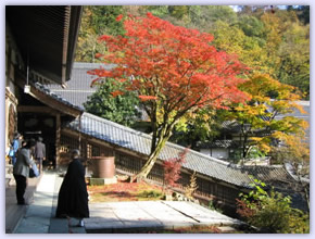 永平寺紅葉