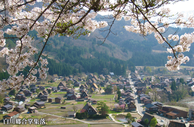 白川郷合掌集落