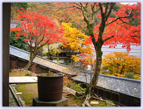 永平寺法堂 