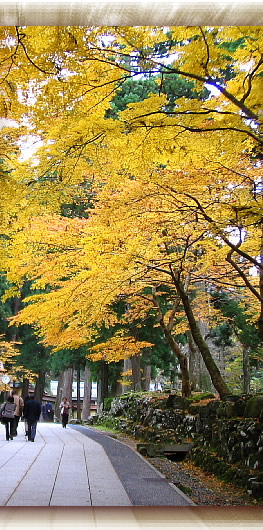 永平寺参拝(コラム)