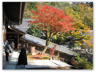 永平寺法堂