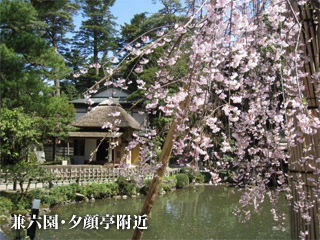 兼六園・夕顔亭附近