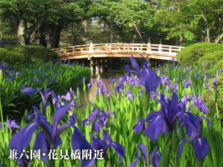 兼六園・花見橋附近