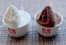 能登ミルク